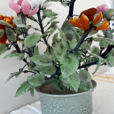 JADE PLANT 