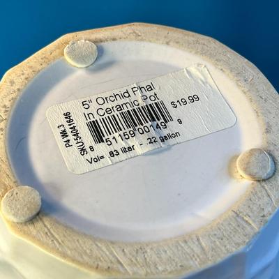 6" TALL WHITE CERAMIC POT CONTEMPORARY DESIGN