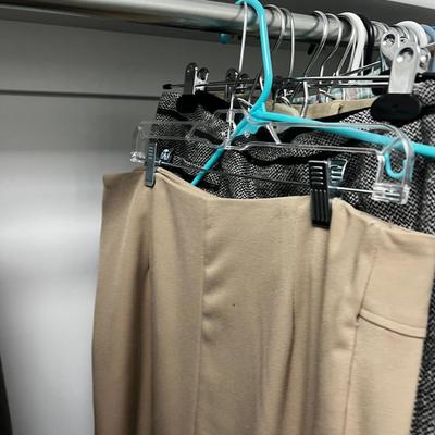 NORTH WALL Of Ladies Closet: Dresses, Skirts, Robes, 