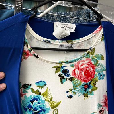 NORTH WALL Of Ladies Closet: Dresses, Skirts, Robes, 