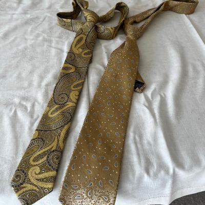 2 Men's Paisley Golden Ties