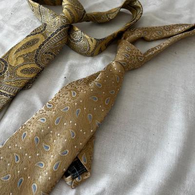 2 Men's Paisley Golden Ties
