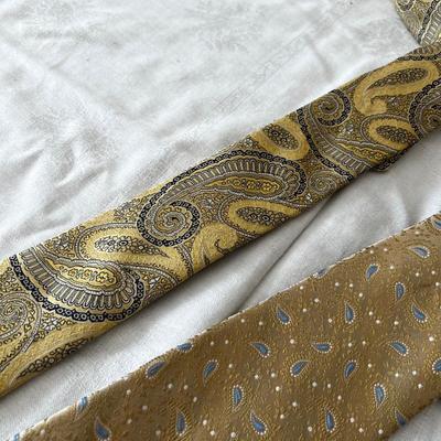 2 Men's Paisley Golden Ties