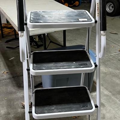 Garage 4 Step Clean LADDER