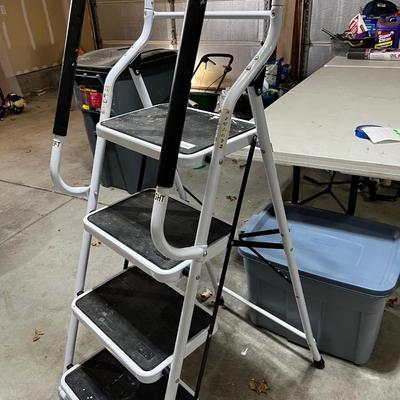 Garage 4 Step Clean LADDER