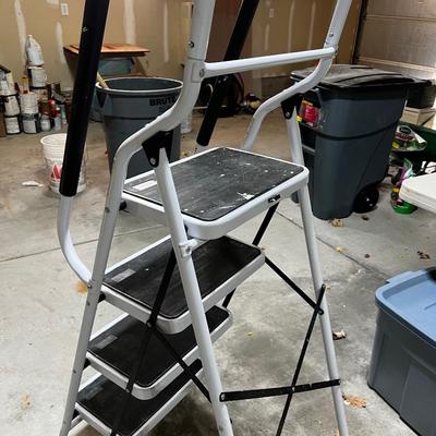 Garage 4 Step Clean LADDER
