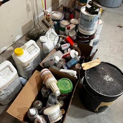 Garage All the Garage Chemicals: Oil, Paint, Fertilizer, Solvents