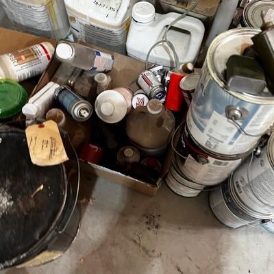 Garage All the Garage Chemicals: Oil, Paint, Fertilizer, Solvents
