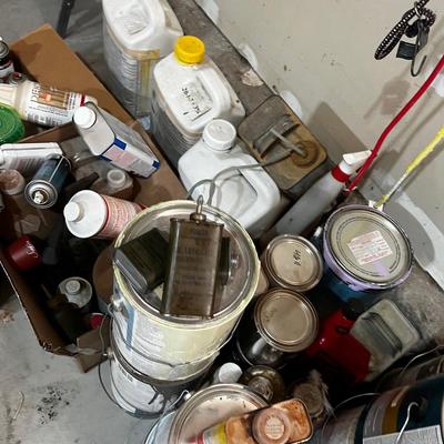 Garage All the Garage Chemicals: Oil, Paint, Fertilizer, Solvents