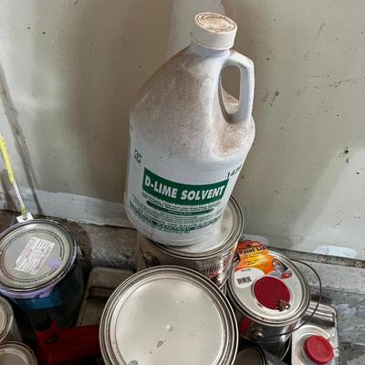 Garage All the Garage Chemicals: Oil, Paint, Fertilizer, Solvents