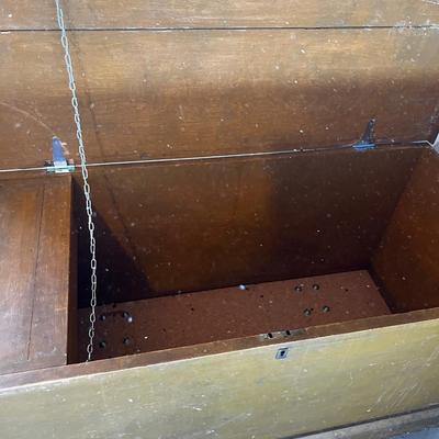 Antique TRUNK Mustard Color Paint