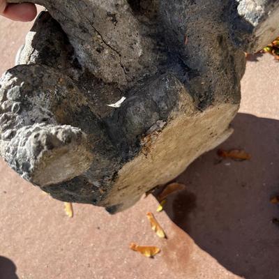 Concrete Turtle with River Rock Shell