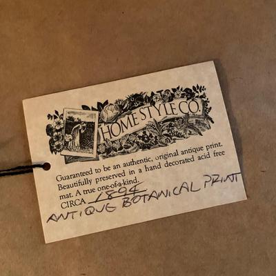 Antique Botanical Prints from Homestyle Co. (UB-KW)