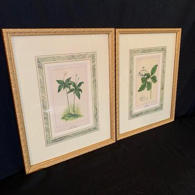 Antique Botanical Prints from Homestyle Co. (UB-KW)