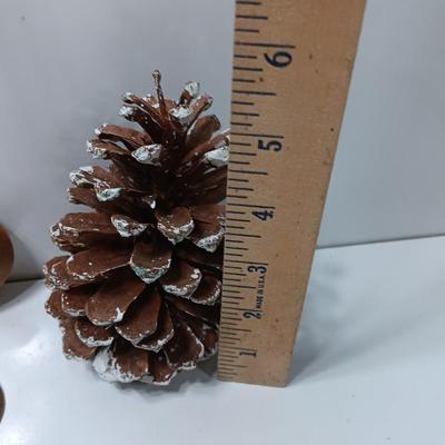 Two hand painted Colorado scenery ornaments on wood and two other Christmas ornaments with pine cones