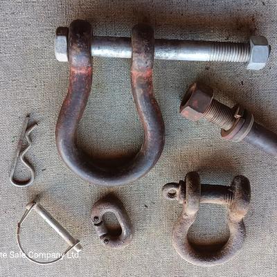 Clevis / Shackle / screw pin hooks and lift pin