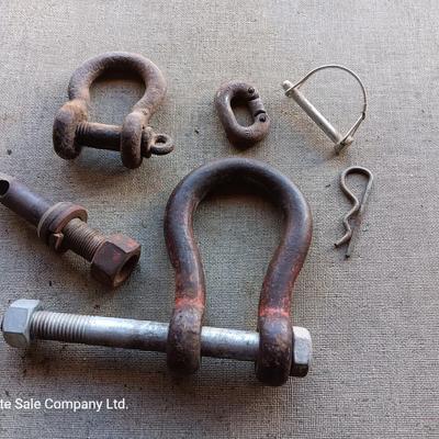 Clevis / Shackle / screw pin hooks and lift pin