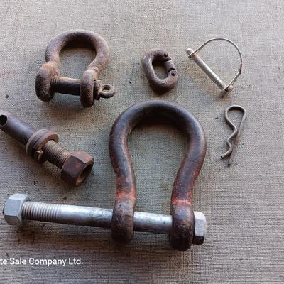 Clevis / Shackle / screw pin hooks and lift pin