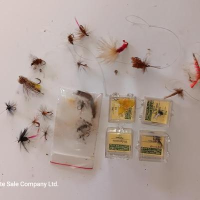 Variety of Fishing Flies - fly fishing lures