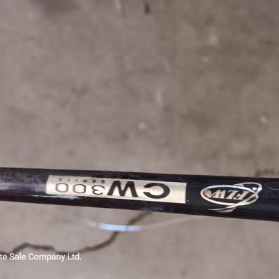 Two nice fishing poles with reels - Pack Rod - and CW 300