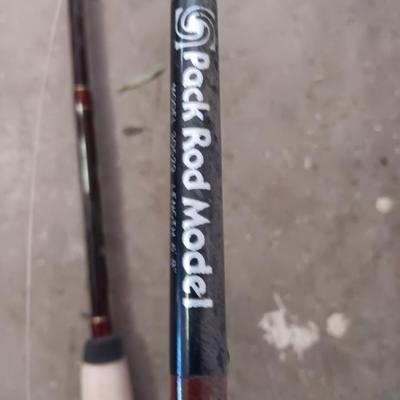 Two nice fishing poles with reels - Pack Rod - and CW 300