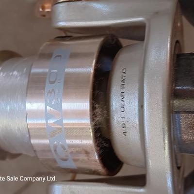 Two nice fishing poles with reels - Pack Rod - and CW 300