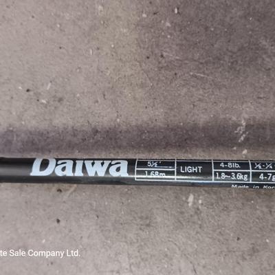 Two nice fishing poles with reels - Daiwa & Green unmarked pole