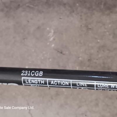 Two nice fishing poles with reels - Daiwa & Green unmarked pole