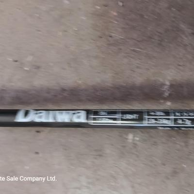 Two nice fishing poles with reels - Daiwa & Green unmarked pole