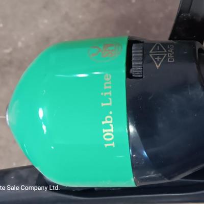 Two nice fishing poles with reels - Daiwa & Green unmarked pole