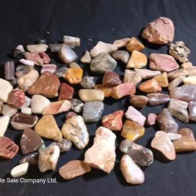 Polished rock collection - agate- petrified wood - Chert - Quartz and more