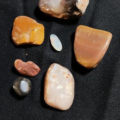 Polished rock collection - agate- petrified wood - Chert - Quartz and more