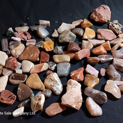 Polished rock collection - agate- petrified wood - Chert - Quartz and more