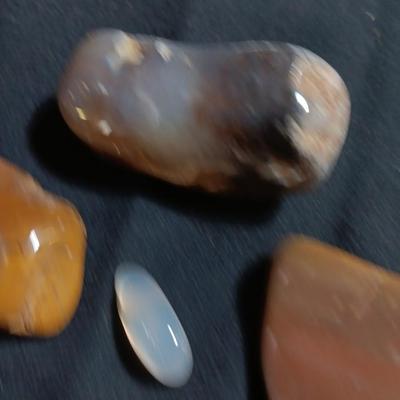 Polished rock collection - agate- petrified wood - Chert - Quartz and more