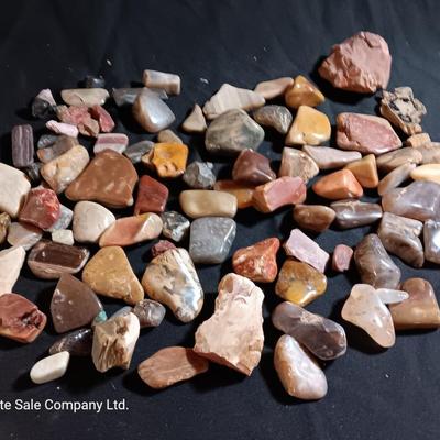 Polished rock collection - agate- petrified wood - Chert - Quartz and more