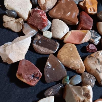 Polished rock collection - agate- petrified wood - Chert - Quartz and more