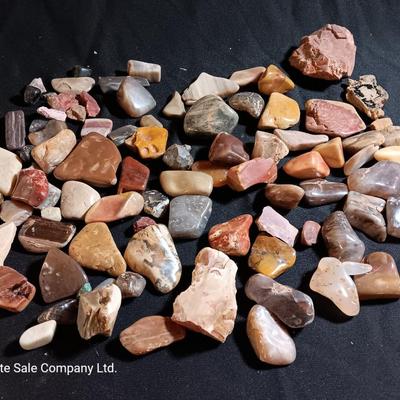 Polished rock collection - agate- petrified wood - Chert - Quartz and more