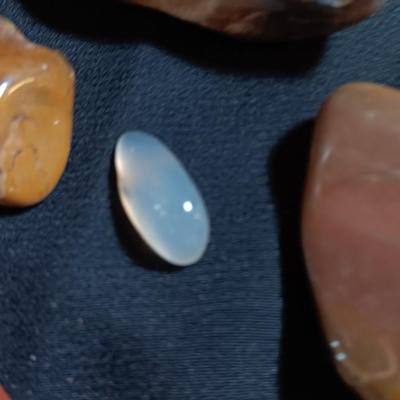 Polished rock collection - agate- petrified wood - Chert - Quartz and more
