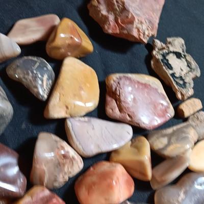 Polished rock collection - agate- petrified wood - Chert - Quartz and more
