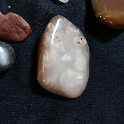 Polished rock collection - agate- petrified wood - Chert - Quartz and more