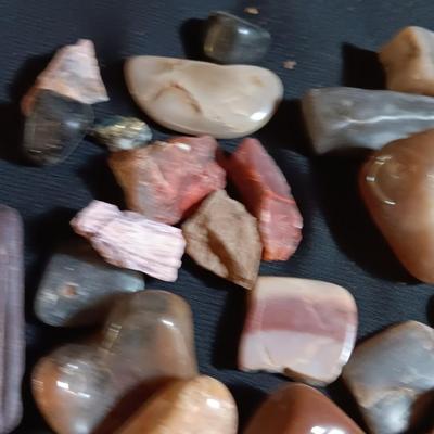 Polished rock collection - agate- petrified wood - Chert - Quartz and more