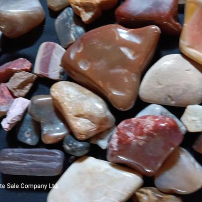 Polished rock collection - agate- petrified wood - Chert - Quartz and more