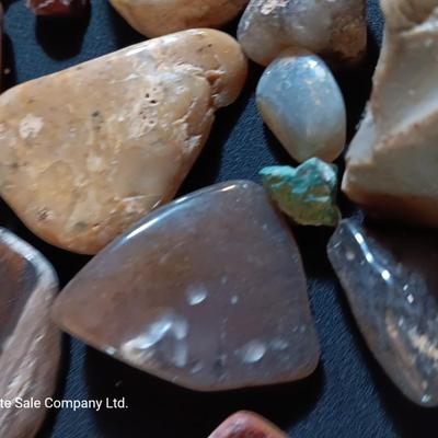 Polished rock collection - agate- petrified wood - Chert - Quartz and more