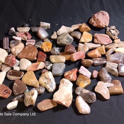 Polished rock collection - agate- petrified wood - Chert - Quartz and more