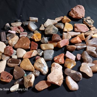 Polished rock collection - agate- petrified wood - Chert - Quartz and more