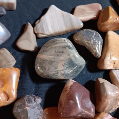 Polished rock collection - agate- petrified wood - Chert - Quartz and more