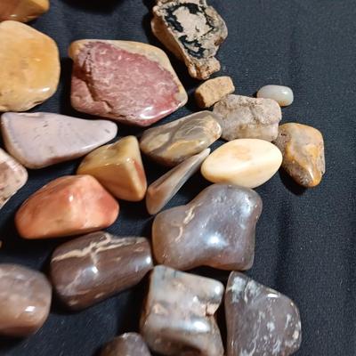Polished rock collection - agate- petrified wood - Chert - Quartz and more