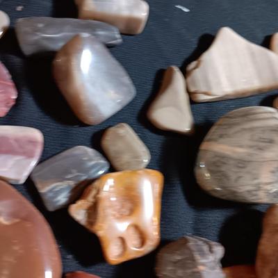 Polished rock collection - agate- petrified wood - Chert - Quartz and more