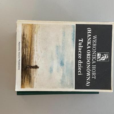 Lot of 10 Books. Polish Authors.
