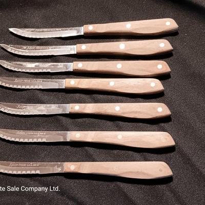 Blue enamelware dish with a set of vintage Zylco Freeze knives in a hanging bakelite case